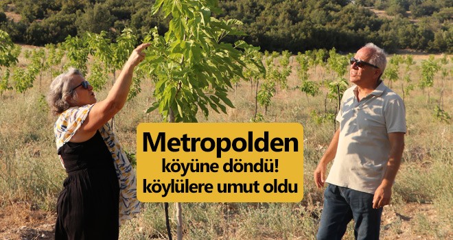 Metropolden köyüne döndü! köylülere umut oldu