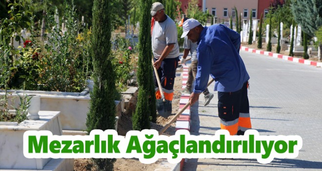 Mezarlığa 500 Adet Ağaç Dikildi