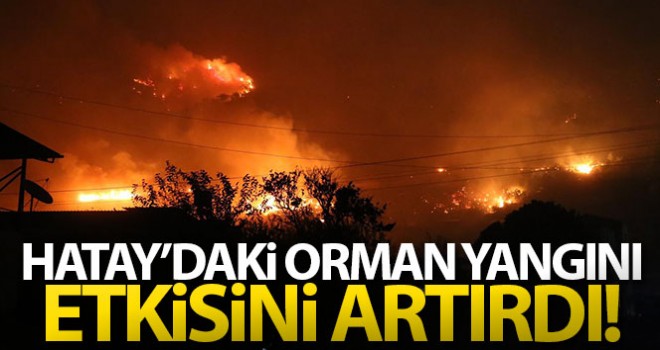 Hatay'daki yangın etkisini artırdı