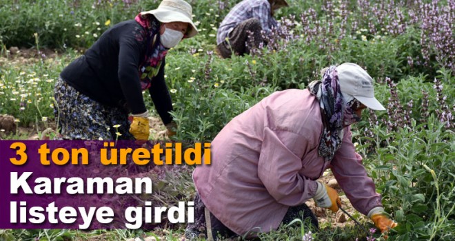 Karaman ada çayı üretiminde listeye girdi