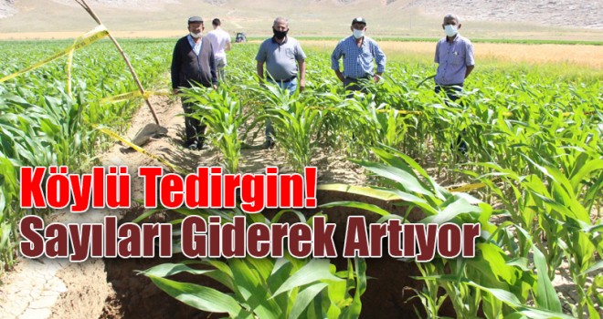 Karaman’da yeni obruk oluştu, köylüler tedirgin