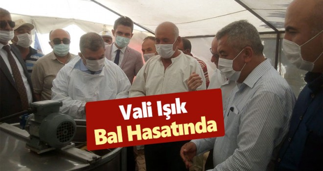 Bal Hasadı Gerçekleştirildi
