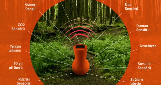 Orman Yangınlarına Karşı Akıllı Orman Kapsülü Geliştirildi