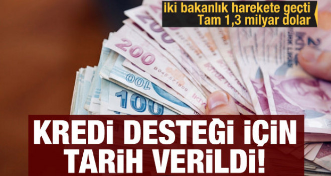 Kredi desteği için tarih verildi! İki bakanlık harekete geçti