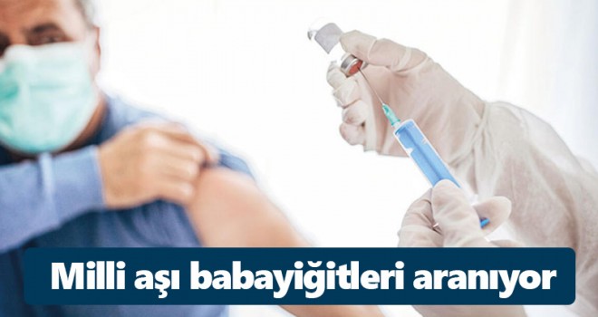 Milli aşı babayiğitleri aranıyor
