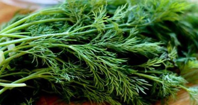 Dere Otunun Faydaları