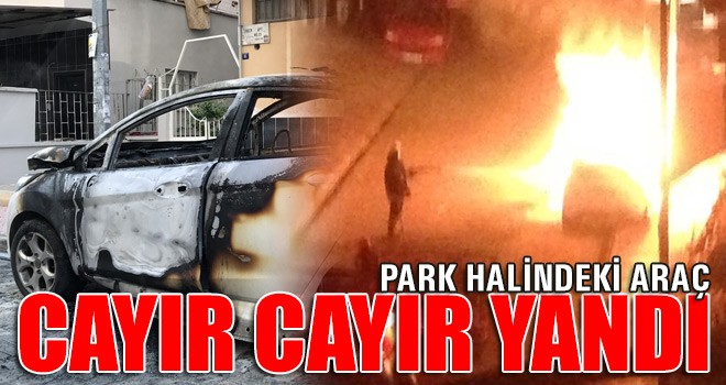 Park Halindeki Otomobil Cayır Cayır Yandı