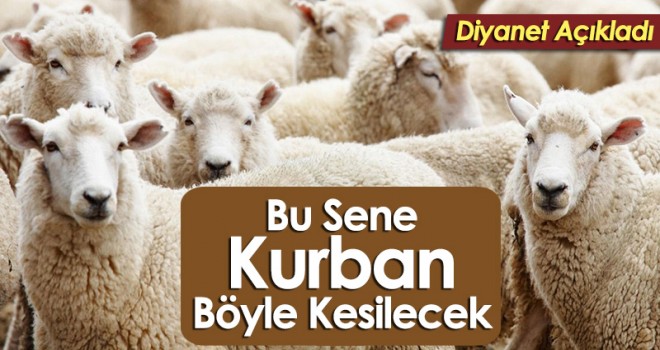 Diyanet Açıkladı! Kurban kesiminde koronavirüs önlemi