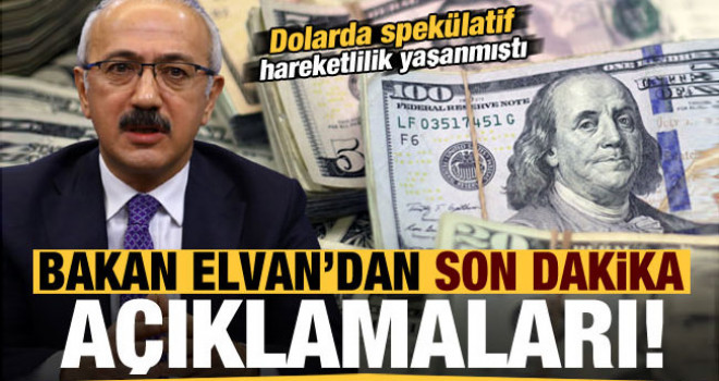 Bakan Elvan'dan Dolardaki spekülatif hareketlilik sonrası açıklama!