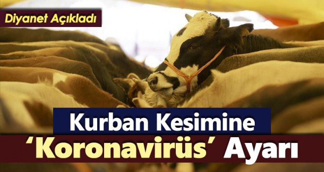 Kurban kesimine Koronavirüs ayarı!