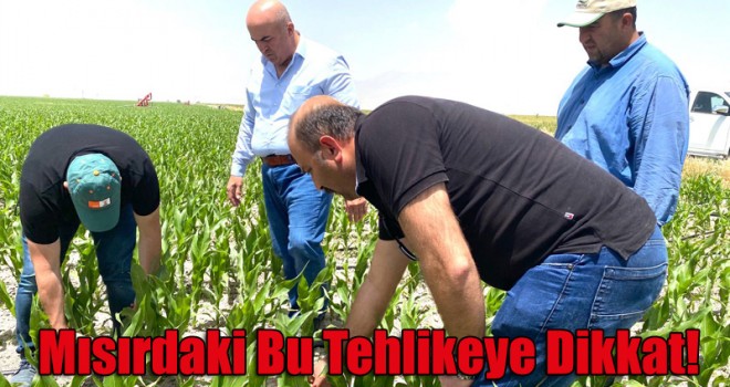 Mehmet Bayram Mısırdaki Tehlikeye Karşı Uyardı!