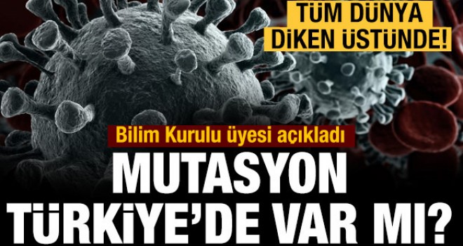 Koronavirüste mutasyon korkusu...