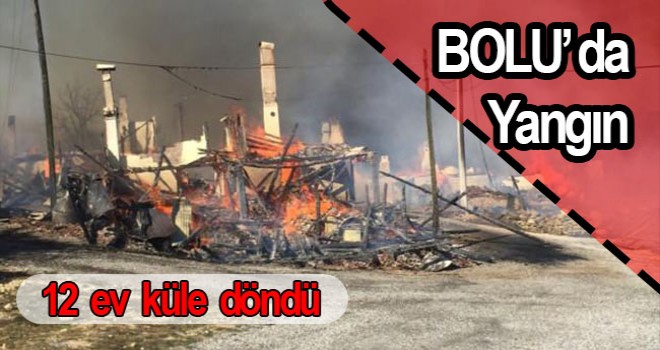 Bolu'da yangın: 12 ev küle döndü