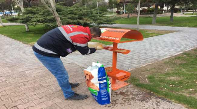 Kayseri'de gönüllülerden sokak hayvanlarına mama ve yem desteği