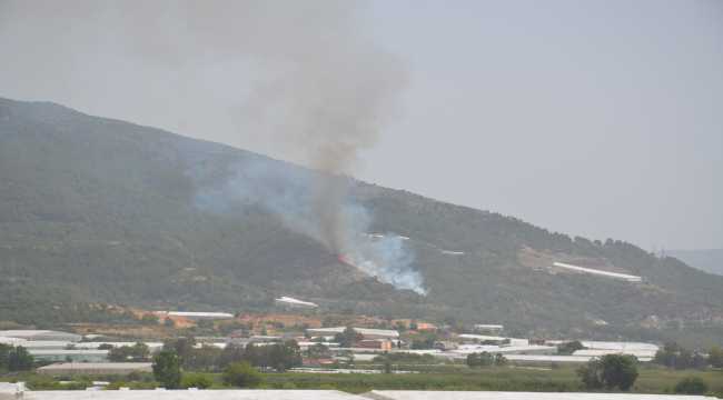 GÜNCELLEME - Mersin'de makilik alanda yangın
