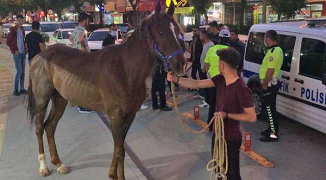 Kahramanmaraş'ta trafiği tehlikeye sokan atı polis yakaladı
