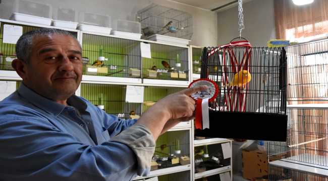 Kırşehirli hırdavatçının kanarya aşkı