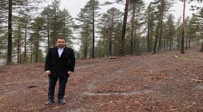 Koyulhisar Kaymakamı Partal, ormanlardaki kesim sahalarını kontrol etti