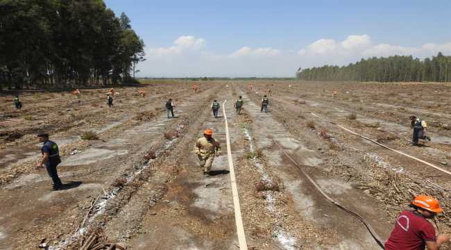 Mersin'de yangın sezonu öncesi tatbikat 