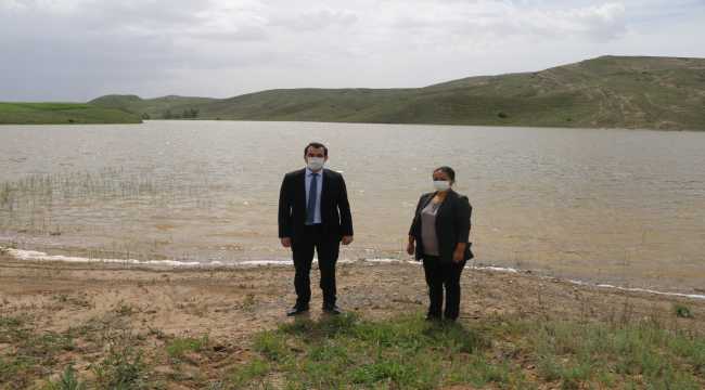 Ulaş'ta göletlere 15 bin adet yavru sazan bırakıldı