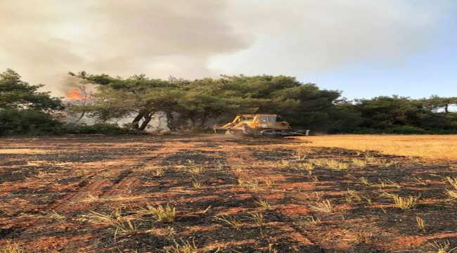 Adana ve Osmaniye'de çıkan 5 orman yangını söndürüldü