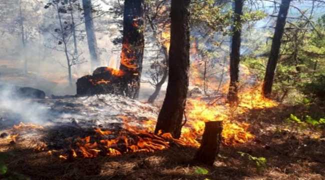 Antalya Yeşilvadi'de Yangın
