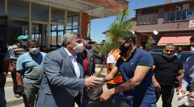 Bünyan Belediyesi ücretsiz fidan dağıttı
