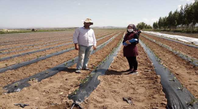 Bünyan'da çiftçiler tarlada bilgilendiriliyor
