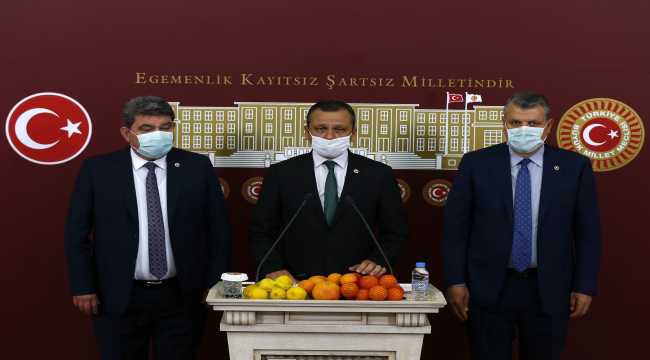 Narenciye üreticilerinin sorunları Mecliste