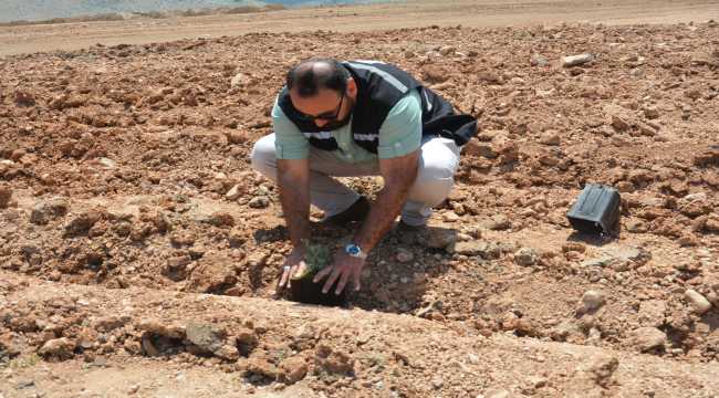 Elbistan'da sivil toplum kuruluşu üyeleri lavanta fidesi dikerek belediye çalışmalarına destek oldu