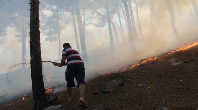 Orman yangını kontrol altına alındı