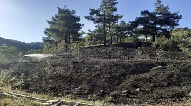 Hatay'da zeytin bahçesinde çıkan yangın söndürüldü