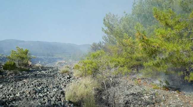 Hatay'daki orman yangınında 2 hektar alanda zarar oluştu
