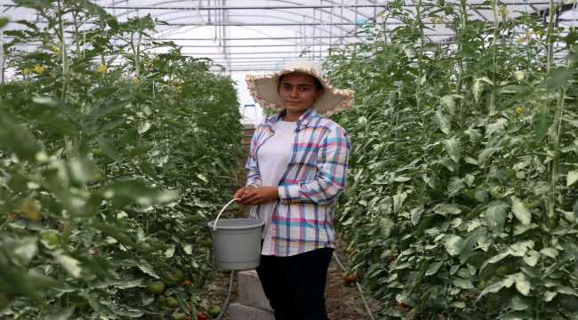 İş bulamayan genç kadın devlet desteğiyle sera kurup kendi işinin patronu oldu