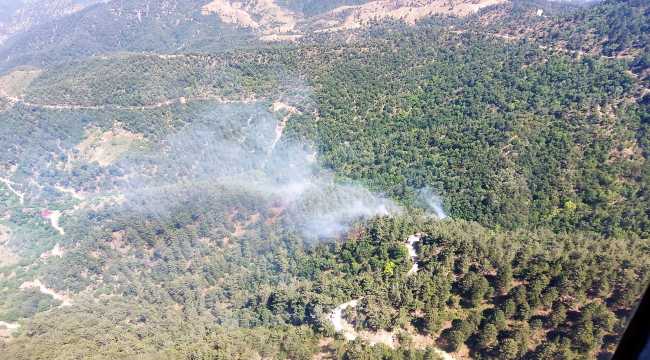 Kahramanmaraş'ta 2 hektarlık orman yangında zarar gördü