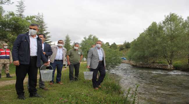 Kahramanmaraş'ta derelere 10 bin kırmızı benekli alabalık bırakıldı