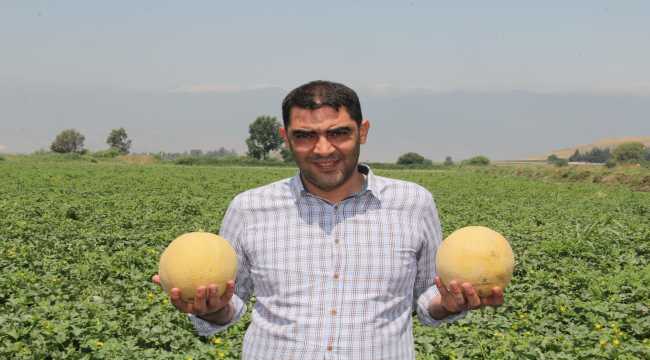 Kırıkhan kavunu verimi, kalitesi ve fiyatıyla üreticisini sevindirdi