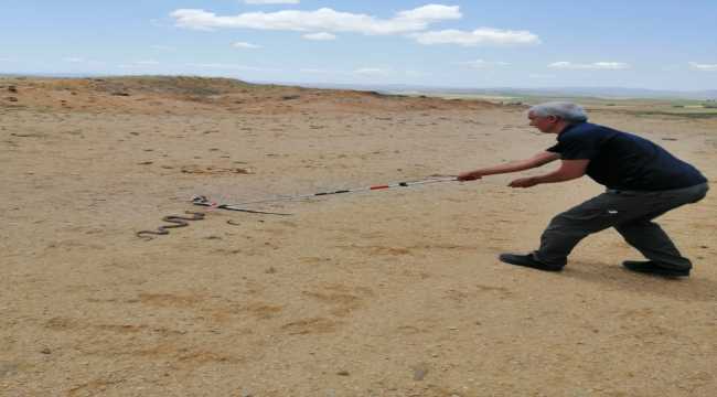 Kırıkkale'de eve giren yılan doğaya bırakıldı