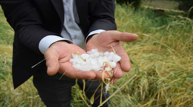Kulu'da dolu tarım ürünlerine zarar verdi