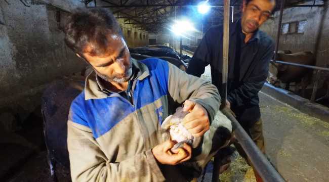 Kurban Bayramı'na doğru