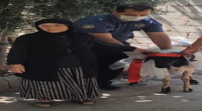 Kurban için biriktirdiği parayı kaybeden Rahme nineye polisler kurbanlık aldı 