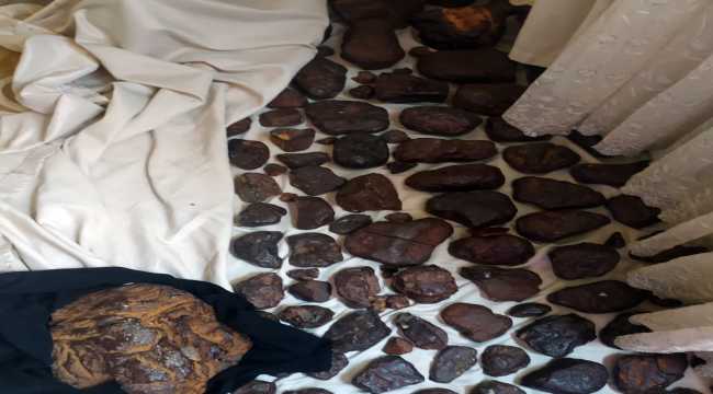 Mersin'de 145 kilogram akamber ele geçirildi
