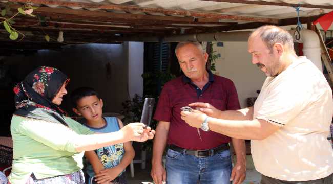 Mersin'de yaralı bulunan çobanaldatan kuşu tedaviye alındı