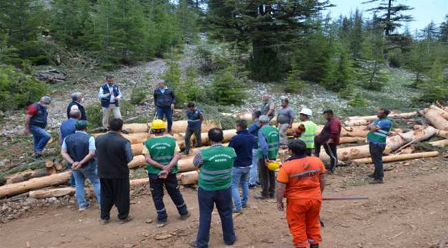 Orman Bölge Müdürü üretim sahalarını inceledi