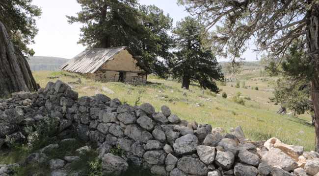 Mut'ta bulunan Nureddin Sofi Türbesi restore edilecek
