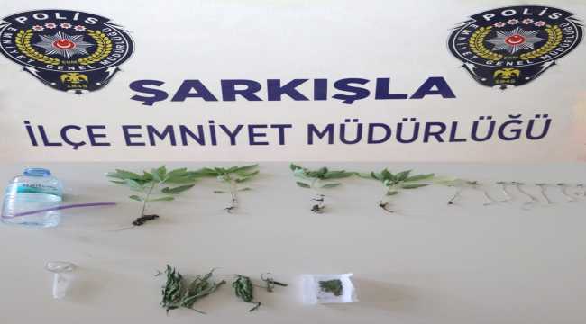 Şarkışla'da uyuşturucu operasyonu