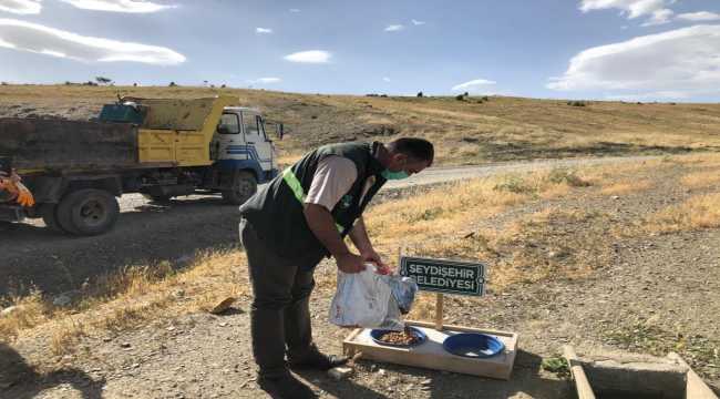 Seydişehir'de belediye ekipleri sokak hayvanlarını da unutmuyor