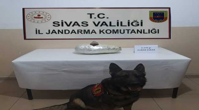 Sivas'ta 2 kilo 676 gram esrar ele geçirildi 