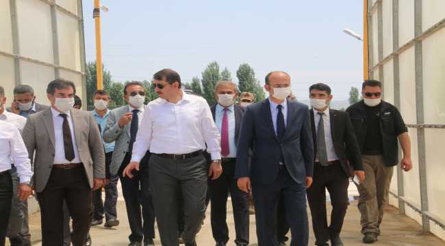 Sivas'ta canlı hayvan pazarı yeniden açılacak 