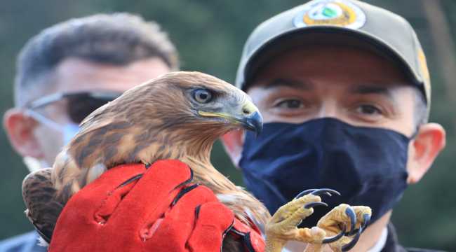 Bakan Pakdemirli doğaya şahin bıraktı